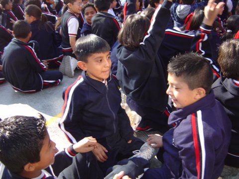 Ir a la Siguiente Foto