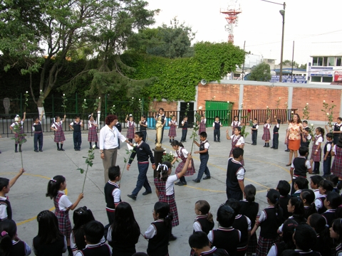Ir a la Siguiente Foto