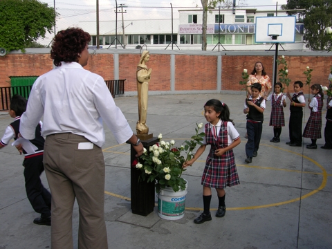 Ir a la Siguiente Foto
