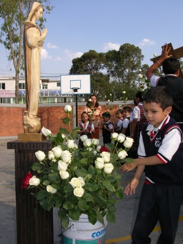 Ir a la Siguiente Foto