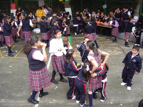 Ir a la Siguiente Foto