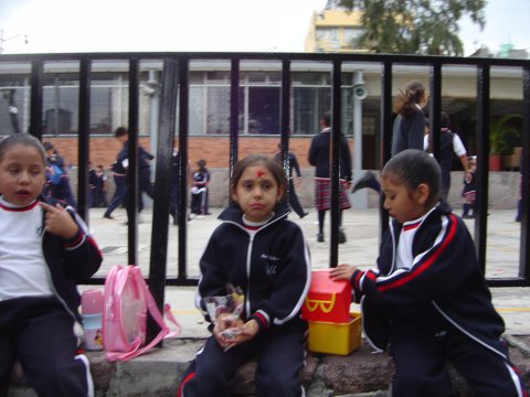 Ir a la Siguiente Foto