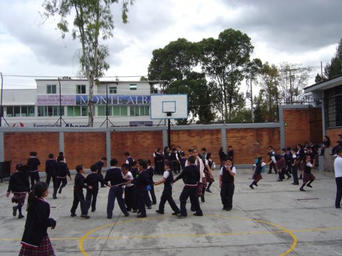Ir a la Siguiente Foto