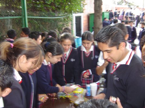 Ir a la Siguiente Foto