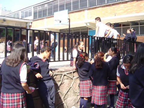Ir a la Siguiente Foto