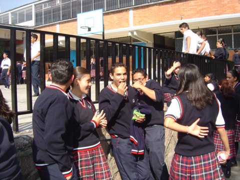 Ir a la Siguiente Foto