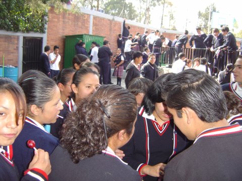 Ir a la Siguiente Foto