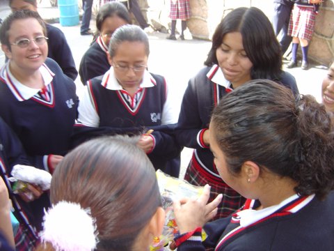 Ir a la Siguiente Foto