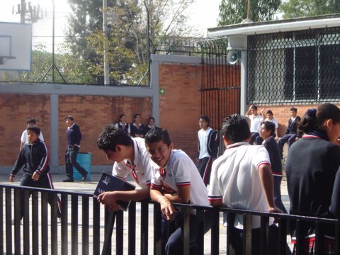 Ir a la Siguiente Foto