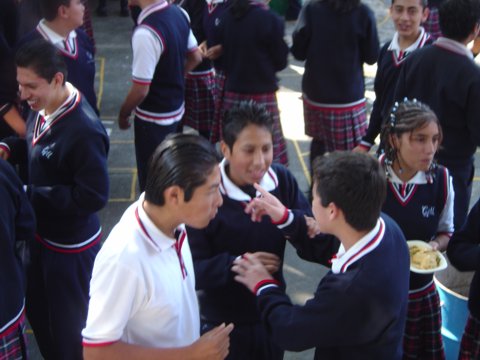 Ir a la Siguiente Foto