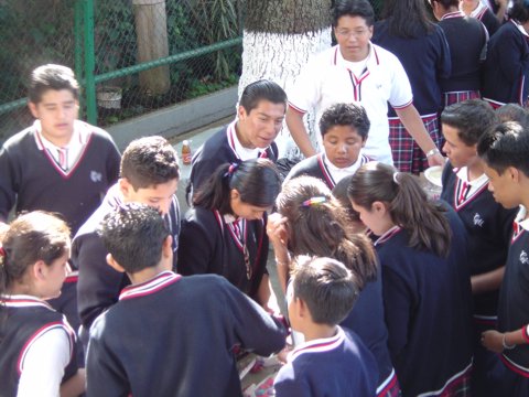 Ir a la Siguiente Foto