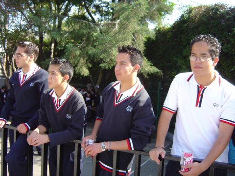 Ir a la Siguiente Foto