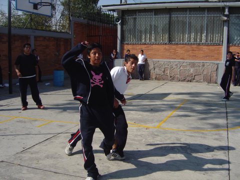 Ir a la Siguiente Foto