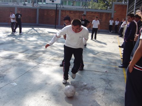 Ir a la Siguiente Foto
