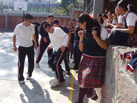 Ir a la Siguiente Foto