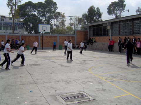 Ir a la Siguiente Foto