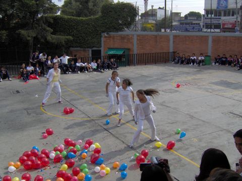 Ir a la Siguiente Foto
