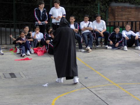Ir a la Siguiente Foto