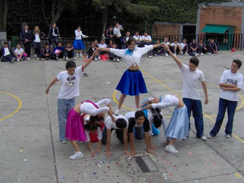Ir a la Siguiente Foto