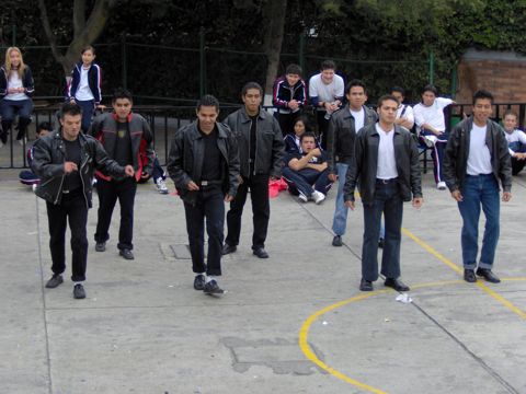 Ir a la Siguiente Foto