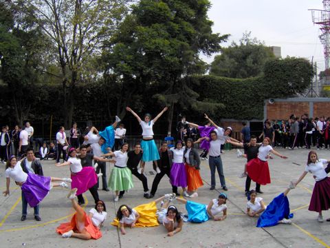 Ir a la Siguiente Foto