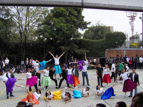 Ir a la Siguiente Foto