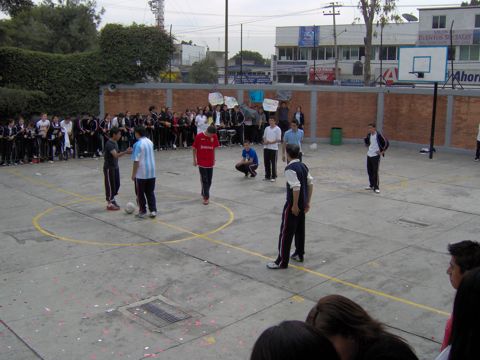 Ir a la Siguiente Foto