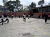 diacolemat2005008.jpg
