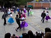 diacolemat2005048.jpg