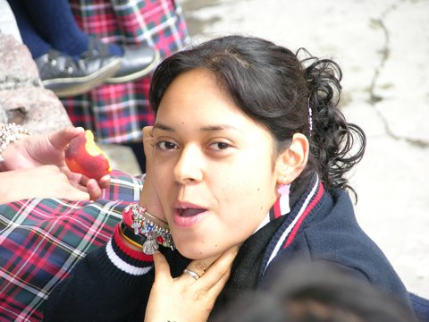 Ir a la Siguiente Foto