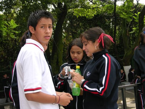 Ir a la Siguiente Foto