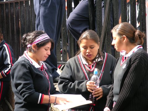 Ir a la Siguiente Foto