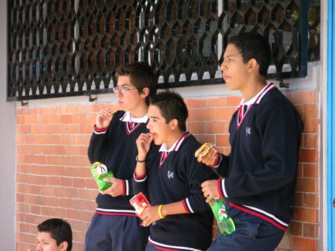 Ir a la Siguiente Foto