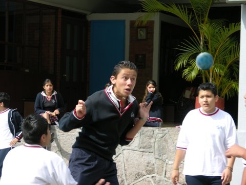 Ir a la Siguiente Foto