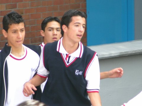 Ir a la Siguiente Foto