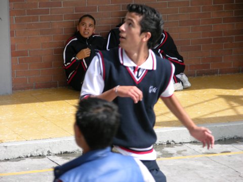 Ir a la Siguiente Foto