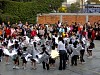 festnavmat2005002.jpg