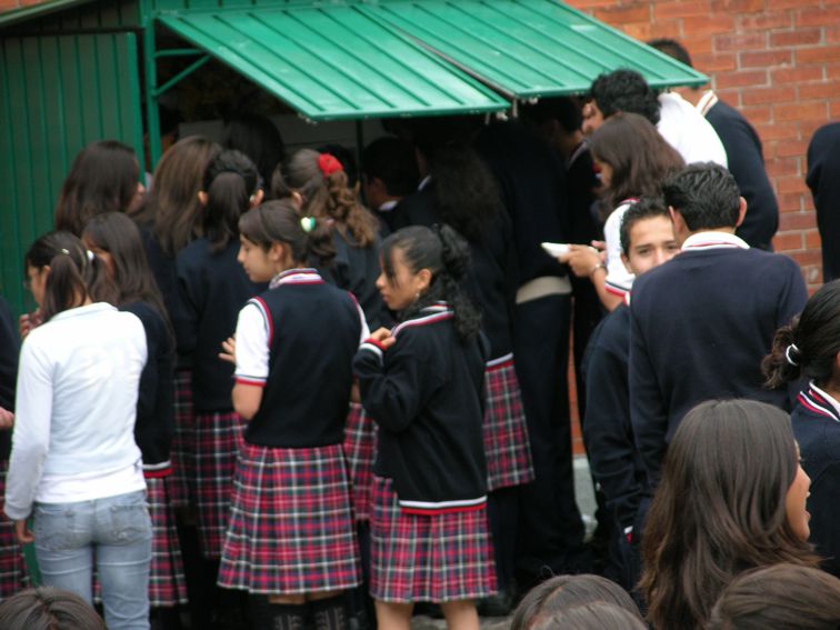Ir a la Siguiente Foto
