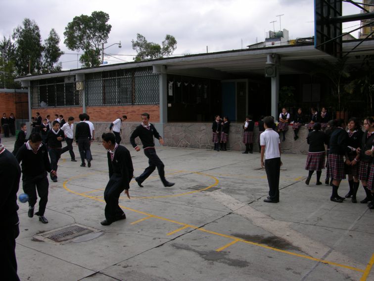 Ir a la Siguiente Foto