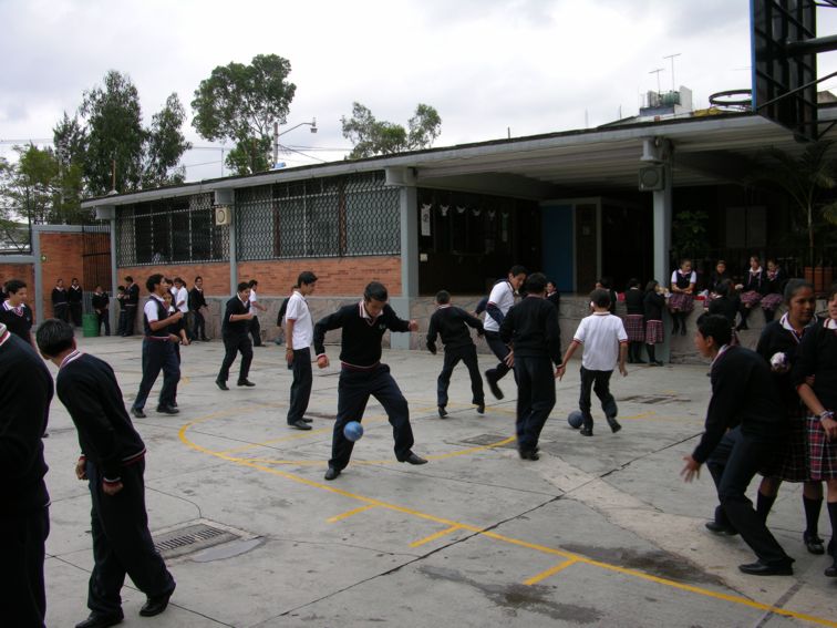 Ir a la Siguiente Foto