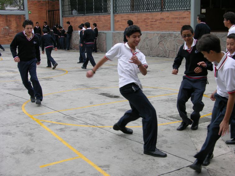 Ir a la Siguiente Foto