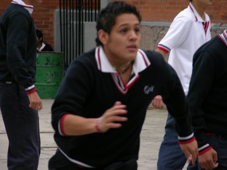 Ir a la Siguiente Foto