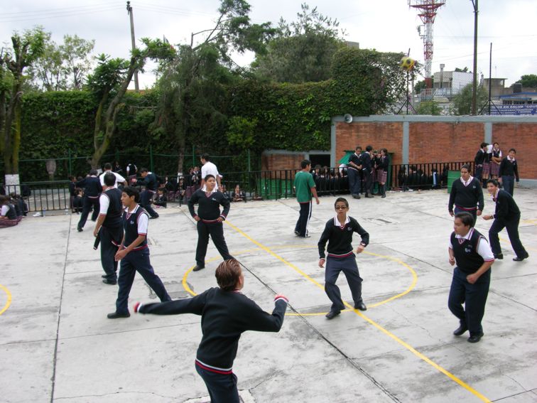 Ir a la Siguiente Foto