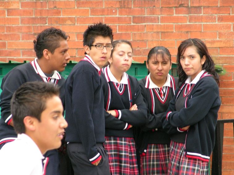 Ir a la Siguiente Foto
