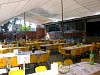 examav2006001.jpg