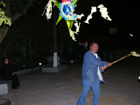 Ir a la Siguiente Foto
