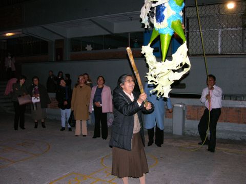 finmaestmat2006 039.jpg