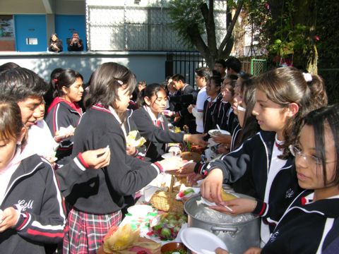 Ir a la Siguiente Foto