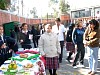 muestrgastmat2006070.jpg