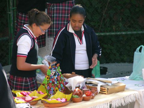 muestrgastmat2006 006.jpg